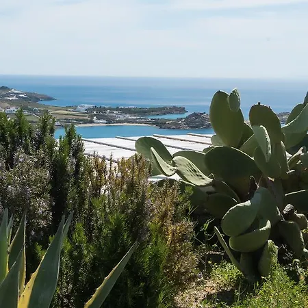 Villa Psarou Summer Psarou (Mykonos)