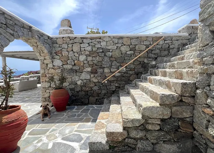 Psarou Summer فيلة *